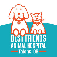 Local Business Best Friends Animal Hospital in Talent OR