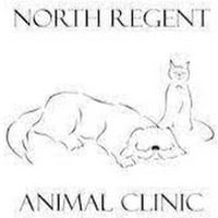 Local Business North Regent Animal Clinic in Port Chester NY