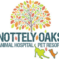 Local Business Nottely Oaks Animal Hospital in Blairsville GA