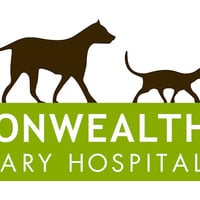 Commonwealth Veterinary Hospital