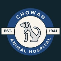 Local Business Chowan Animal Hospital in Edenton NC