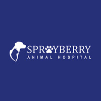 Local Business Sprayberry Animal Hospital in Marietta GA