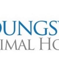 Local Business Youngsville Animal Hospital in Youngsville NC