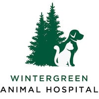 Wintergreen Animal Hospital