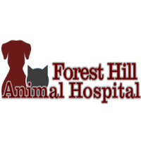 Local Business Forest Hill Animal Hospital in Jackson MS