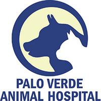 Local Business Orangewood Animal Hospital - Now Palo Verde Animal Hospital in Phoenix AZ