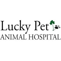 Local Business Lucky Pet Animal Hospital in Berwick ME