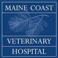 Maine Coast Veterinary Hospital