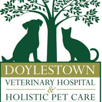 Doylestown Veterinary Hospital & Holistic Pet Care