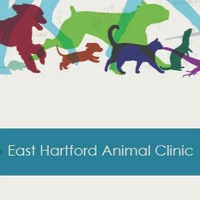 Local Business East Hartford Animal Clinic in East Hartford CT