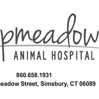 Local Business Hopmeadow Animal Hospital in Weatogue CT