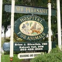 Local Business Mt. Pleasant Hospital for Animals in Newtown CT