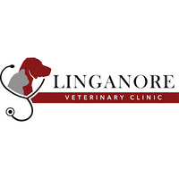 Local Business Linganore Veterinary Clinic in New Market MD