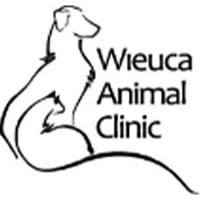 Local Business Wieuca Animal Clinic in Atlanta GA