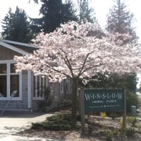 Local Business Winslow Animal Clinic in Bainbridge Island WA