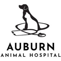 Local Business Auburn Animal Hospital in Auburn GA