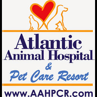 Local Business Atlantic Animal Hospital and Pet Care Resort in Wilmington NC