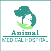 Local Business Animal Medical Hospital in Hempstead NY