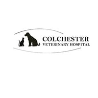 Local Business Colchester Veterinary Hospital in Colchester CT