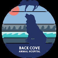 Local Business Back Cove Animal Hospital in Portland ME