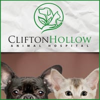 Local Business Clifton Hollow Animal Hospital in Poulsbo WA