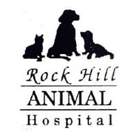 Local Business Rock Hill Animal Hospital in Rock Hill SC