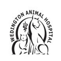 Local Business Wedington Animal Hospital in Fayetteville AR