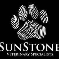 Local Business Sunstone Veterinary Specialists in Portland OR