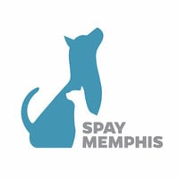 Local Business Spay Memphis in Memphis TN