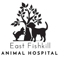 Local Business East Fishkill Animal Hospital in Hopewell Junction NY