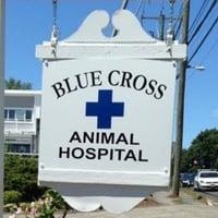 Local Business Blue Cross Animal Hospital in Greenwich CT