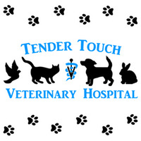 Tender Touch Veterinary Hospital