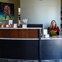 Local Business Brooklyn Veterinary Clinic in Castle Rock CO