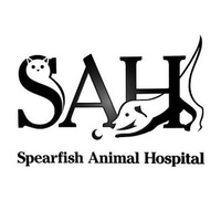 Local Business Spearfish Animal Hospital in Spearfish SD