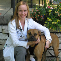 Local Business County Line Animal Hospital in Naperville IL