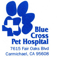 Local Business BLUE CROSS PET HOSPITAL in Carmichael CA