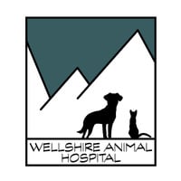 Wellshire Animal Hospital