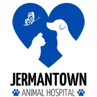 Local Business Jermantown Animal Hospital in Fairfax VA