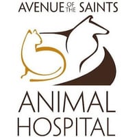 Local Business Avenue of the Saints Animal Hospital in Waverly IA