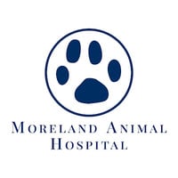 Local Business Moreland Animal Hospital in Moreland GA