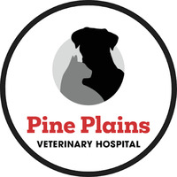 Local Business Pine Plains Veterinary Hospital in Pine Plains NY