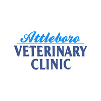 Local Business Attleboro Veterinary Clinic in Attleboro MA