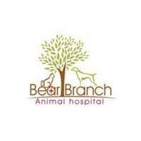 Local Business Bear Branch Animal Hospital in Magnolia TX