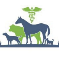 All Creatures Veterinary Services (formerly Elberton Animal Hospital)