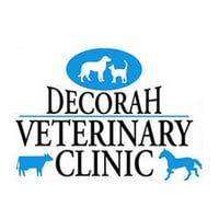 Local Business Decorah Veterinary Clinic in Decorah IA