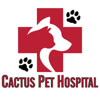 Local Business Cactus Pet Hospital LLC in Glendale AZ