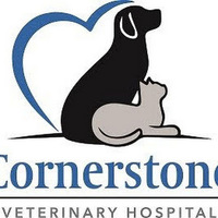 Cornerstone Veterinary Hospital