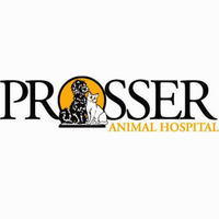 Local Business Prosser Animal Hospital in Prosser WA