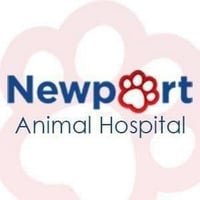 Newport Animal Hospital