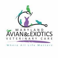 Local Business Maryland Avian & Exotics Veterinary Care in Rockville MD